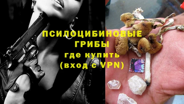 прущие крисы Алзамай