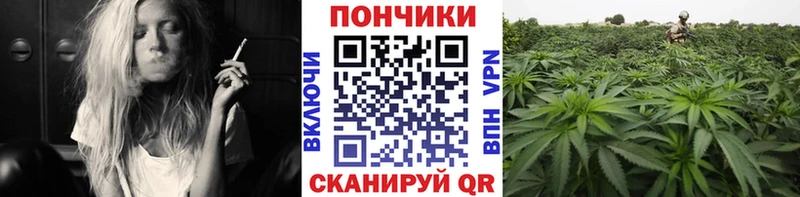 купить наркоту  Анадырь  Бошки Шишки AK-47 
